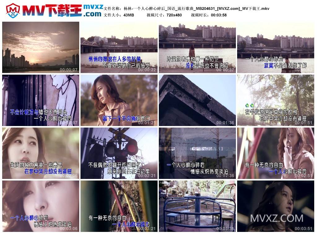 杨林-一个人心醉心碎后_国语_流行歌曲_MB204631